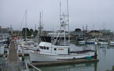 Most Common Hull Types