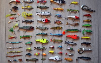 Top 10 Freshwater Fishing Lures