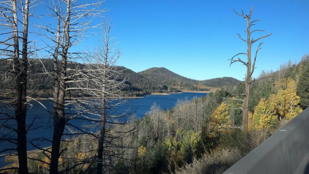 Places to Fish in New Mexico Navajo Lake