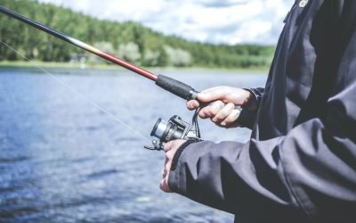 Tips on How to Choose Your First Spincast Reel