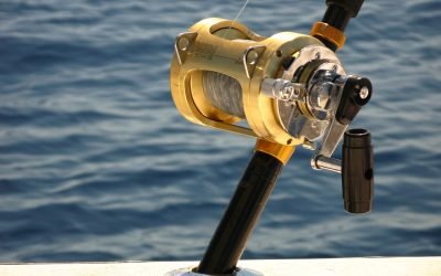 Top 7 New Spinning Reels for 2024